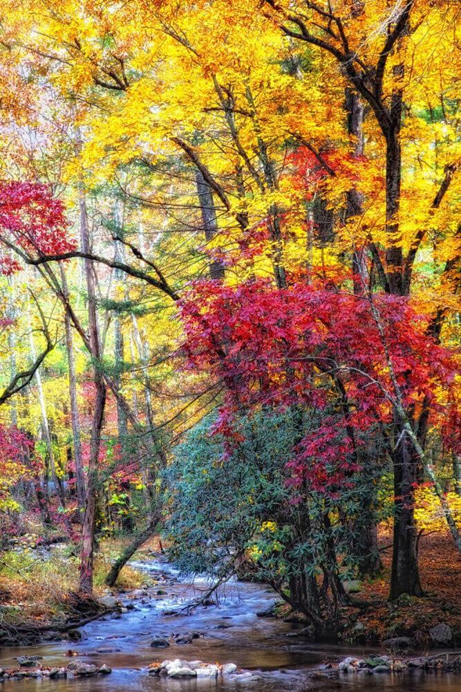 Luxurious Condo, Pool, Fireplace, Hiking Gatlinburg Exterior foto